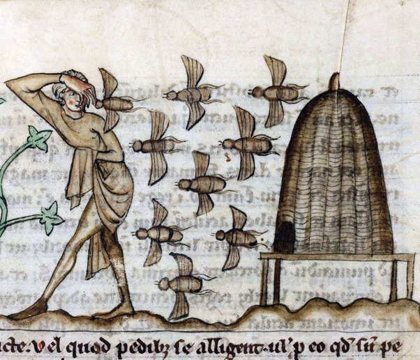 The Medieval Beekeeper: A History